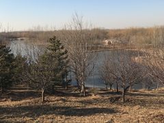 -东郊湿地公园