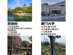 -野草莓自由市场
