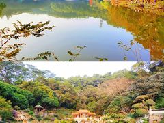 -深圳市中科院仙湖植物园