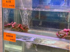 -好彩海鲜火锅饭店(银河百老汇店)