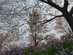 -东湖生态旅游风景区