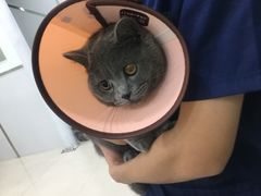 -佳雯宠物医院(金华南路分院)