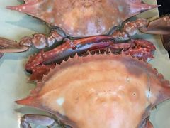 -大锅强·蒸海鲜青岛菜(吾悦广场店)