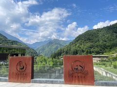 -卧龙中华大熊猫苑神树坪基地