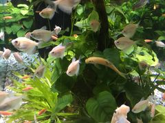 -大家乐(广州天河城六楼店)