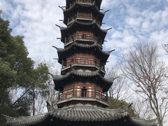 -上海佘山国家森林公园西佘山园