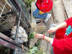 -小鱼草莓采摘园农家乐·小鱼餐厅