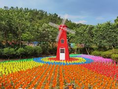 -广州白江湖森林公园