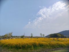 -径山花海