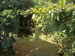 -侯臣咖啡文化村