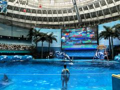 -海合安成都极地海洋公园
