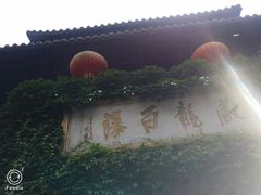 -藏龙百瀑风景区