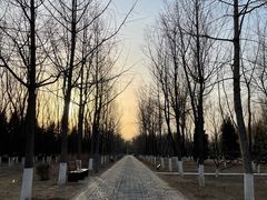 -东升八家郊野公园