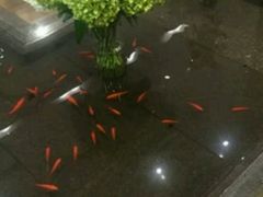 -豆花酒楼·三十八年匠心(秦皇东大街店)