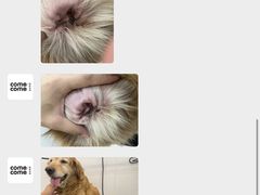 -comecome来吧宠物(奥克斯中心店)