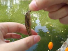 -鲁迅公园-垂钓中心