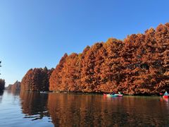 -上海海湾国家森林公园