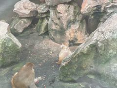 -水绘园