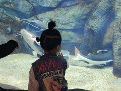 -泉城欧乐堡海洋极地世界