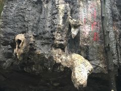 -千岛湖石林