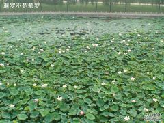 -南戴河国际娱乐中心