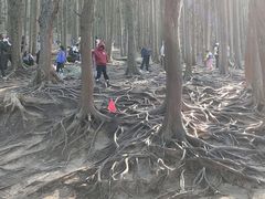 -含鄱口