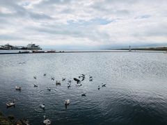 -青海湖二郎剑景区