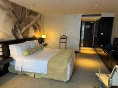 -国家会议中心大酒店