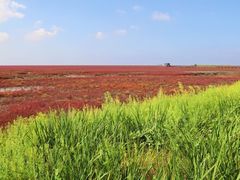 -红海滩国家风景廊道