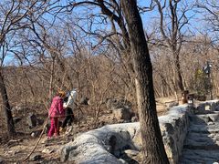 -阳台山自然风景区