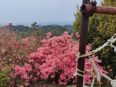 -木兰云雾山