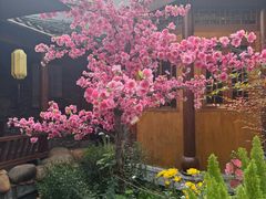 -小隐院子·庭院餐厅(大学城后湖店)