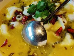 -苗小坛酸汤鱼(酒仙桥店)