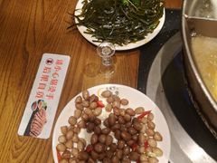 -月光下的毡房·蒙古烤羊腿·羊蝎子火锅刷羊肉(中谊路店)