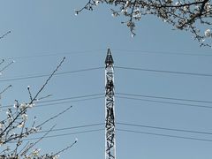 -西北湖绿化广场