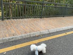 -南国桃园旅游度假区