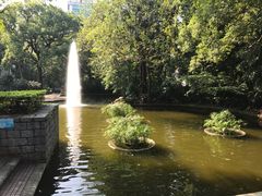 -九龙公园