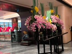 -南海渔村(珠江新城店)