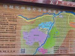 -汤旺河林海奇石景区