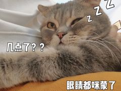 -猫咪派对(江南西店)