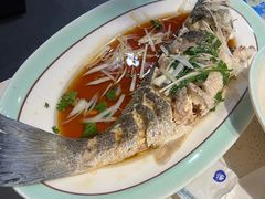 -巧克力渔家.小船海鲜胶东菜(万平口店)