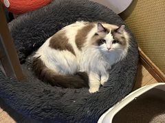 -白兔子密室(长寿路店)