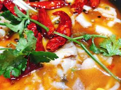 沸腾鱼-文记沸腾鱼(永安路总店)