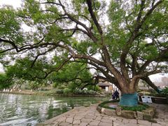 -西溪国家湿地公园