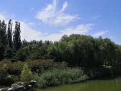-大兴滨河森林公园