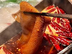 -大龙燚·旷野鲜火锅(广州首店)
