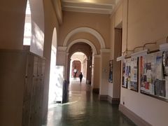 -香港大学