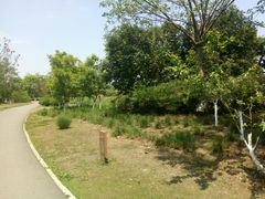 -白鹭湾湿地公园