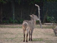 -广州长隆野生动物世界