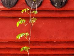 -孤山景区-孤山寺